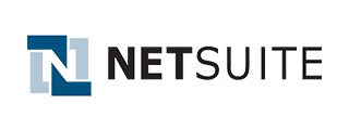 Netsuite natural language search